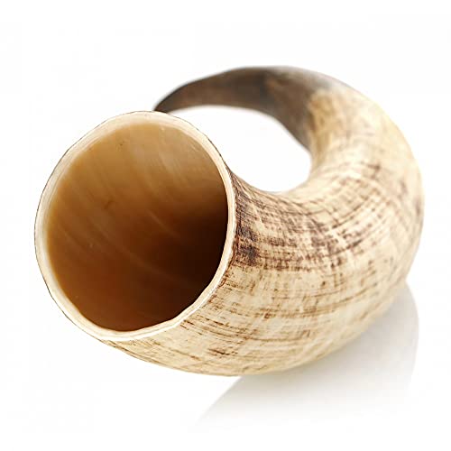 Eburya Wikinger Trinkhorn 0,5 Liter - außen Natur/Roh - echtes Rinderhorn Eburya Wikinger Trinkhorn 0,5 Liter - außen Natur/Roh - echtes Rinderhorn von Eburya