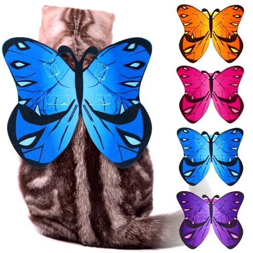 Eccliy 4-teiliges Katzen- und Hunde-/Schmetterlingskostüm, Flügel für Halloween, Party-Dekoration, Halloween, Welpenhalsband, Leinen, Cosplay, Fledermaus-Kostüm, Outfit, niedliches Welpen-Kostüm von Eccliy