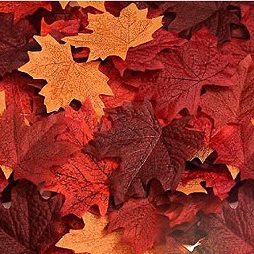 EchoDone 600 künstliche Ahornblätter, Dekorationen für Herbst und Herbst, Blätter für Erntedankfest, Herbstblätter, Hochzeit, Party EchoDone 600 künstliche Ahornblätter, Dekorationen für Herbst und Herbst, Blätter für Erntedankfest, Herbstblätter, Hochzeit, Party von EchoDone