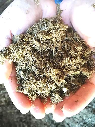 Eckards Wurmstube Pferdedung Dünger direkt vom Pferdehof in ihren Garten - 25 Liter, gehäckselt, entspricht 50 Liter ungehäckselt - Klimaneutral - Vegan Eckards Wurmstube Pferdedung Dünger direkt vom Pferdehof in ihren Garten - 25 Liter, gehäckselt, entspricht 50 Liter ungehäckselt - Klimaneutral - Vegan von Eckards Wurmstube