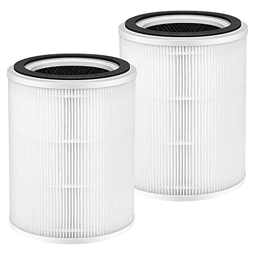 TPAP001 H13 True HEPA-Luftfilter, nur kompatibel mit Topin TPAP001 Comfy Air C2 Luftreiniger, H13 True HEPA-Filter für Topin TPAP001 Filter, TPFF001 【Nicht passend für TPAP002 TPAP004 TPAP005】 von Ecleanfy