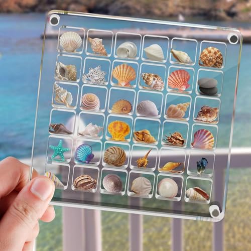 Acrylic Magnetic Seashell Display Box, 36 Gitter Magnetische Muschel-Display-Box, Transparent Acrylic Seashell Storage Box Seashell Diamond Gemstone Beads Storage Display Organizer Box von EclipseGuard