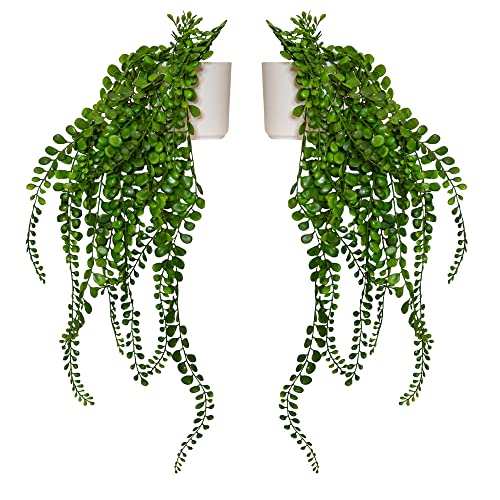Eco Home Store 2er Set Hängende Kunstpflanzen in Weiß Pflanztöpfe Plastik Pflanze Gefälschte Hängende Pflanze Zimmerpflanze Hängepflanze Fake Pflanze Kunstpflanzen Indoor Zimmerpflanzen Kunstpflanze Eco Home Store 2er Set Hängende Kunstpflanzen in Weiß Pflanztöpfe Plastik Pflanze Gefälschte Hängende Pflanze Zimmerpflanze Hängepflanze Fake Pflanze Kunstpflanzen Indoor Zimmerpflanzen Kunstpflanze von Eco Home Store