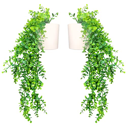 Eco Home Store Kunstpflanze hängend im 2er Set mit weißen Übertöpfen als Frühlingsdeko als hängender Blumentopf geeignet Hängepflanze künstlich als Zimmerdeko Fake Pflanzen plastikpflanzen Eco Home Store Kunstpflanze hängend im 2er Set mit weißen Übertöpfen als Frühlingsdeko als hängender Blumentopf geeignet Hängepflanze künstlich als Zimmerdeko Fake Pflanzen plastikpflanzen von Eco Home Store