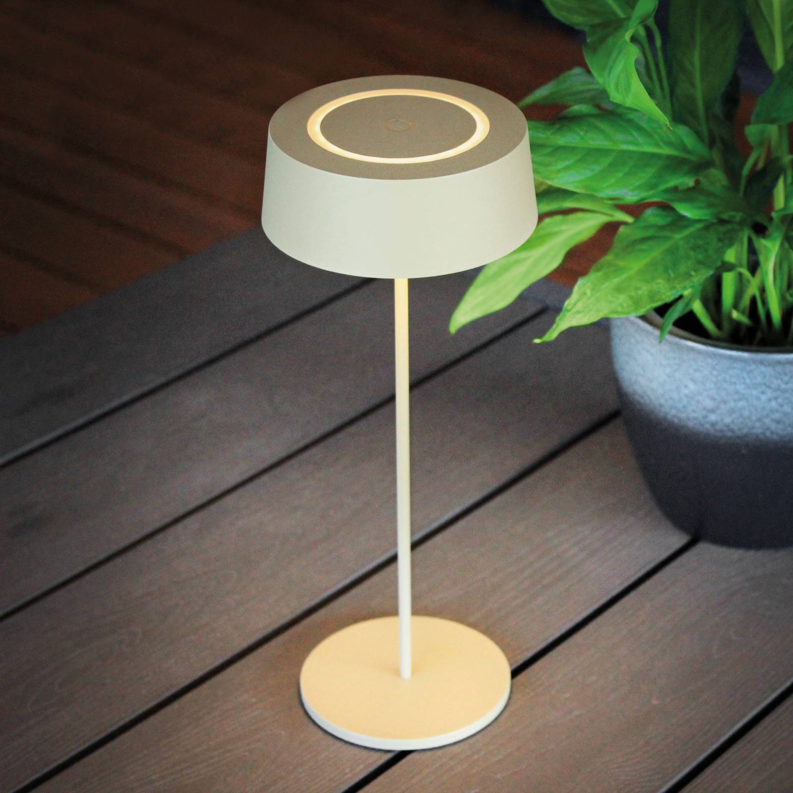 LED-Akku-Tischleuchte Cocktail, dimmbar, gold von Eco-Light