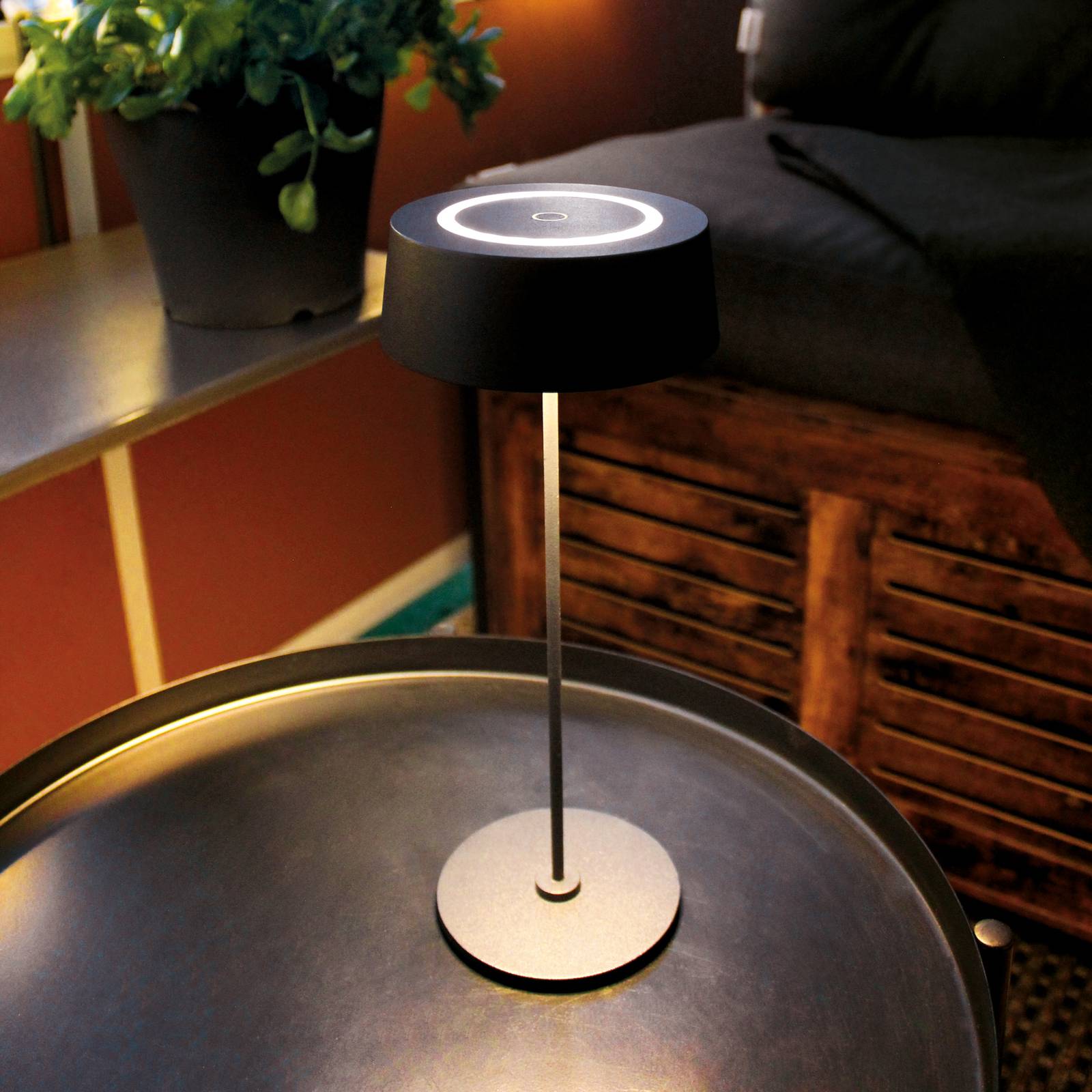 LED-Akku-Tischleuchte Cocktail, dimmbar, schwarz von Eco-Light