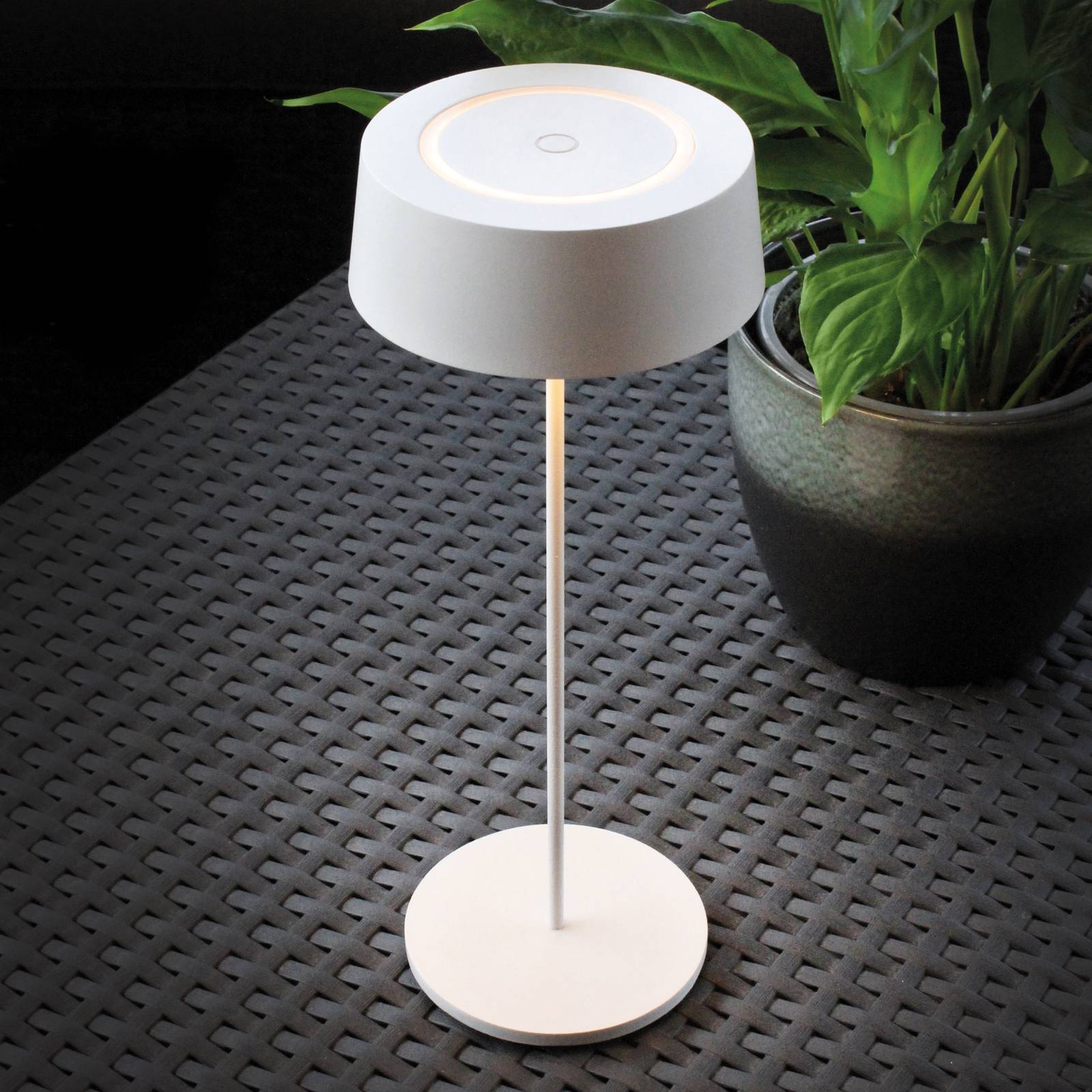 LED-Akku-Tischleuchte Cocktail, dimmbar, weiß von Eco-Light