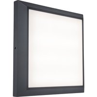 LED Außenwandleuchte Aluminium 4000 K IP54 blendarm von Eco-Light