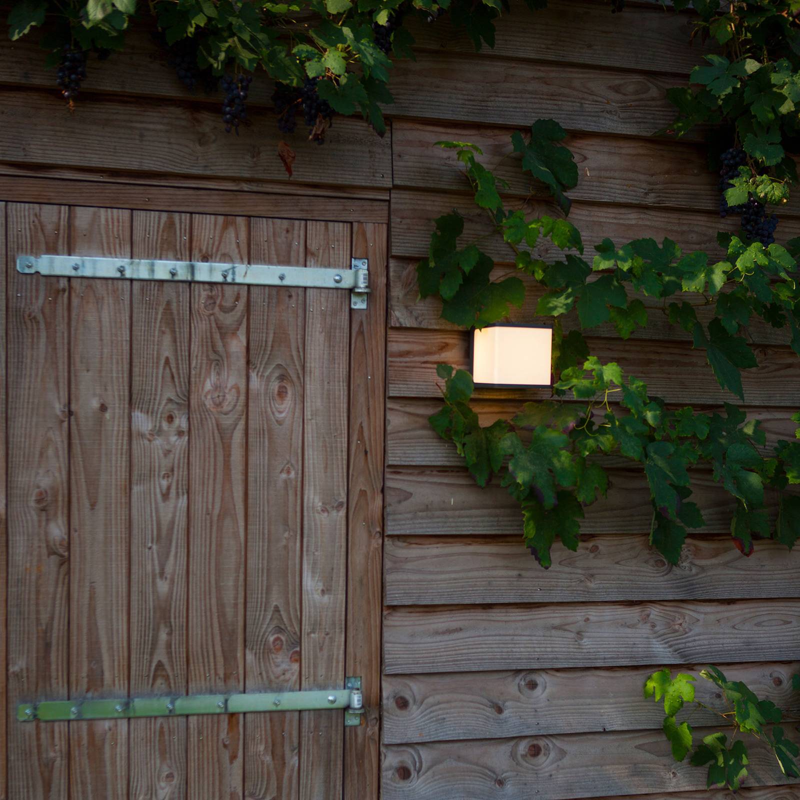 LED-Außenwandleuchte Doblo, Würfel, 15 cm, 3.000 K von Lutec