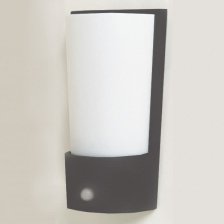 Wandleuchte 1-flammig Pino Sicherheitslicht Ausführung: Anthrazit, Eigenschaften: Mit Bewegungsmelder von Eco Light