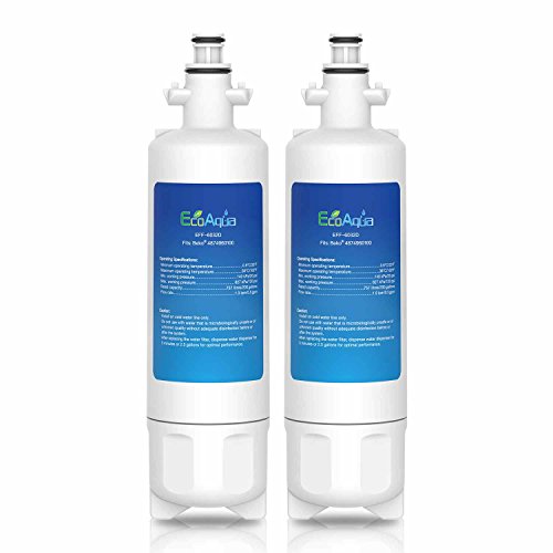 EcoAqua EFF-6032D Eis- und Wasserfilter für Kühlschränke passend für Beko 9256712, 487960200, 4346650401, 4874960100, 4877880200, Blomberg KFD9952PXDUK, Lamona HJA6110, LAM6100 (2) von EcoAqua