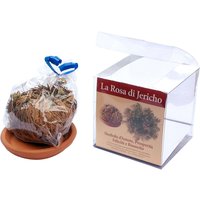 Rosa Di Jericho Ausgewählt, Sauber Und Verpackt von EcoClass