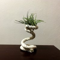 Desktop Luftpflanzenhalter Rustikale Weiße Luftpflanzenständer von EcoDecoRoom
