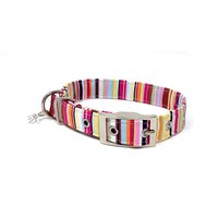 Candy Stripe Traditionelle Eyelet Hundehalsband von EcoDogDesigns