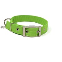 Lime Wasserabweisende Verstellbare Traditionelle Ösen-Hundehalsband von EcoDogDesigns