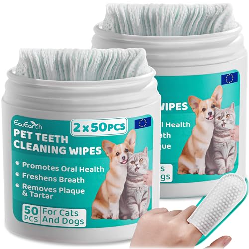 EcoEarth - Zahnreinigungstücher für Hunde & Katzen - Finger-Pads zur Zahnpflege für Haustiere für frischen Atem & Mundhygiene - Entfernen Plaque & Zahnstein - 100 Stück EcoEarth - Zahnreinigungstücher für Hunde & Katzen - Finger-Pads zur Zahnpflege für Haustiere für frischen Atem & Mundhygiene - Entfernen Plaque & Zahnstein - 100 Stück von EcoEarth