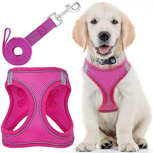 Hundegeschirr mit Leine – Klein, Rosa – Weich gepolstertes und zugfreies Haustiergeschirr mit reflektierenden Streifen für kleine Hunde – von EcoEarth von EcoEarth