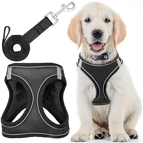 Hundegeschirr mit Leine – Klein, Schwarz – Weich gepolstertes und zugfreies Haustiergeschirr mit reflektierenden Streifen für kleine Hunde – von EcoEarth von EcoEarth
