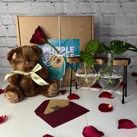 Pflanze Muttertag Geschenkbox + Karte & Teddy | Geschenke Für Sie Pflanzenpflege Paket Zur Verlobung Jubiläumsgeschenke Vermehrungsstand von EcoPurpleTurtleCo