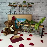 Pflanze Muttertag Geschenkbox + Karte & Teddy | Geschenke Für Sie Pflanzenpflege Paket Zur Verlobung Jubiläumsgeschenke Vermehrungsstand von EcoPurpleTurtleCo