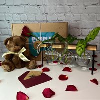 Pflanze Muttertagsgeschenkbox + Karte & Teddy | Geschenke Für Sie Pflanzenpflegepaket Verlobungsgeschenke Jubiläumsgeschenke Vermehrungsstand von EcoPurpleTurtleCo