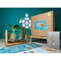 Geschenk Zur Pflanzenvermehrung + Geschenkbox | Starterstation Für Den Anbau Ihrer Pflanzen Geschenke Sie Zimmerpflanzenstecklinge Kostenlose von EcoPurpleTurtleCo