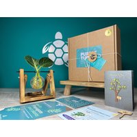 Geschenk Zur Pflanzenvermehrung + Geschenkbox | Starterstation Für Den Anbau Ihrer Pflanzen Geschenke Sie Zimmerpflanzenstecklinge Kostenlose von EcoPurpleTurtleCo