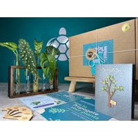 Pflanzenvermehrung Geschenk + Geschenkbox | Wachsen Sie Ihre Pflanzen-starter-station Geschenke Für Zimmerpflanzenstecker Kostenlose Plant von EcoPurpleTurtleCo