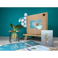 Geschenk Zur Pflanzenvermehrung + Geschenkbox | Starterstation Für Den Anbau Ihrer Pflanzen Geschenke Sie Zimmerpflanzenstecklinge Kostenlose von EcoPurpleTurtleCo