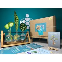 Geschenk Zur Pflanzenvermehrung + Geschenkbox | Starterstation Für Den Anbau Ihrer Pflanzen Geschenke Sie Zimmerpflanzenstecklinge Kostenlose von EcoPurpleTurtleCo