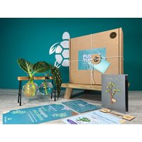 Geschenk Zur Pflanzenvermehrung + Geschenkbox | Starterstation Für Den Anbau Ihrer Pflanzen Geschenke Sie Zimmerpflanzenstecklinge Kostenlose von EcoPurpleTurtleCo