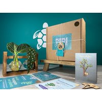 Geschenk Zur Pflanzenvermehrung + Geschenkbox | Starterstation Für Den Anbau Ihrer Pflanzen Geschenke Sie Zimmerpflanzenstecklinge Kostenlose von EcoPurpleTurtleCo