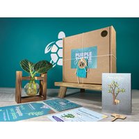 Geschenk Zur Pflanzenvermehrung + Geschenkbox | Starterstation Für Den Anbau Ihrer Pflanzen Geschenke Sie Zimmerpflanzenstecklinge Kostenlose von EcoPurpleTurtleCo