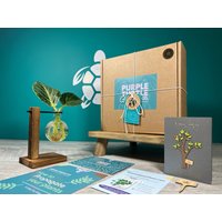 Pflanzenvermehrung Geschenk + Geschenkbox | Wachsen Sie Ihre Pflanzen-starter-station Geschenke Für Zimmerpflanzenstecker Kostenlose Plant von EcoPurpleTurtleCo
