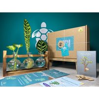 Geschenk Zur Pflanzenvermehrung + Geschenkbox | Starterstation Für Den Anbau Ihrer Pflanzen Geschenke Sie Zimmerpflanzenstecklinge Kostenlose von EcoPurpleTurtleCo