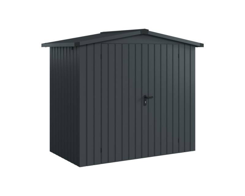 EcoStar Metallgerätehaus Euroline ESD3 anthrazit 214 x 118 cm 2-flg. von EcoStar