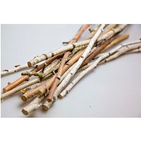 30 Birkenzweige 50cm Lang, Weiße Birkenäste. Birkenholz Scheite. . Dekorative Birkenholz. Birkenstöcke Für Handarbeit von EcoStream