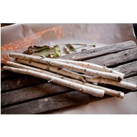 6 Birkenstäbchen ~ 20 Zoll Lang., Weiße Birkenzweige. Birkenholzscheite. . Dekoratives Birkenholz. Für Handarbeit von EcoStream