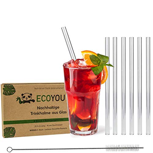 EcoYou Glas Strohhalme 6er Set + Reinigungsbürste & Smoothie Rezepte Plastikfreie Trinkhalme 21,5 cm wiederverwendbar ZERO WASTE Mehrweg Straw von EcoYou