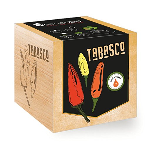 Chilipflanze 'Tabasco' im Holzwürfel - Chili Selection von ecocube