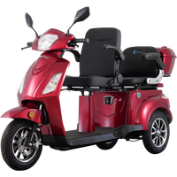E-Seniorenmobil T409-1, 3-Rad, 1000 Watt, 2 Sitzer von Econ- Way