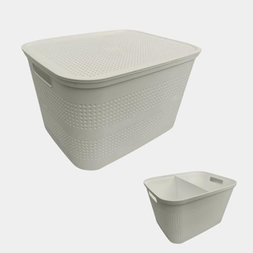 Ecoplast | Mehrzweck-Aufbewahrungsbox, hellgrau, mittelgroß, mit Deckel und Trennwand, platzsparend, für Schränke, Regale und Büros von Ecoplast