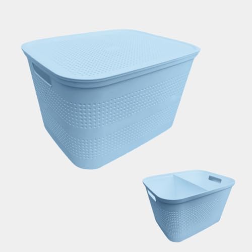 Ecoplast | Mehrzweck-Aufbewahrungsbox Lavendel groß mit Deckel und Trennwand – platzsparende Aufbewahrungsbox für Schränke, Regale und Büros von Ecoplast