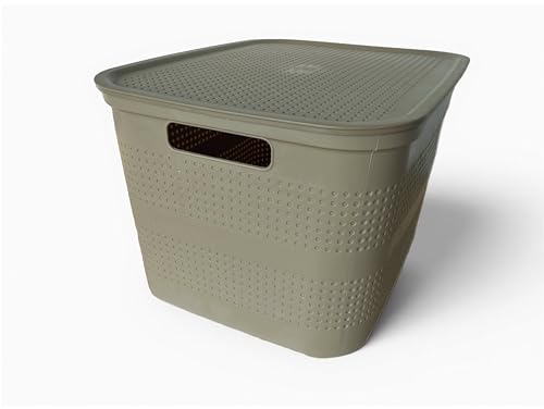 Ecoplast | Mehrzweckbehälter Cappuccino Small mit Deckel und Trennwand - Platzsparende Aufbewahrungsbox für Schränke, Abstellräume und Büros von Ecoplast