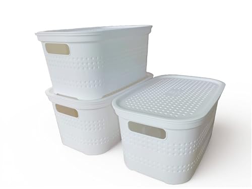 Ecoplast | Set mit 3 Mehrzweck-Aufbewahrungsboxen weiß Medium mit Deckel und Trennwand – platzsparende Aufbewahrungsbox für Schränke, Regale und Büros Ecoplast | Set mit 3 Mehrzweck-Aufbewahrungsboxen weiß Medium mit Deckel und Trennwand – platzsparende Aufbewahrungsbox für Schränke, Regale und Büros von Ecoplast
