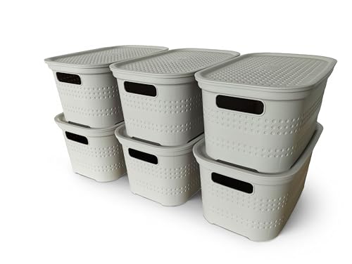 Ecoplast | Set mit 6 Mehrzweck-Aufbewahrungsboxen Taupe hell klein mit Deckel und Trennwand – platzsparende Aufbewahrungsbox für Schränke, Abstellräume und Büros von Ecoplast