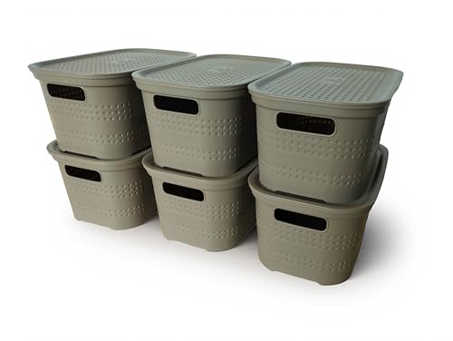 Ecoplast | Set mit 6 Mehrzweckboxen Cappuccino Small mit Deckel und Trennwand – platzsparende Aufbewahrungsbox für Schränke, Abstellräume und Büros von Ecoplast