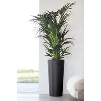 ECOPOTS Blumentopf "Amsterdam" von Ecopots