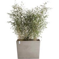 ECOPOTS Blumentopf "Paris mit Rollen 85 Taupe", für den Außenbereich: frostsicher, bruchsicher und lichtbeständig von Ecopots