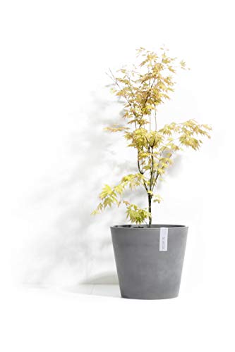 Ecopots Blumentopf Amsterdam aus Kunststoff | Ökologisches Pflanzgefäß für innen und außen | grau (Ø 30cm | Höhe: 26,3cm, Grau) von Ecopots